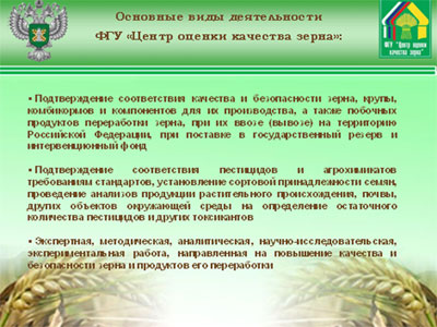 Доклад Директора  ФГУ «Центр оценки качества зерна», канд.экон.наук А.В.Хатунцова