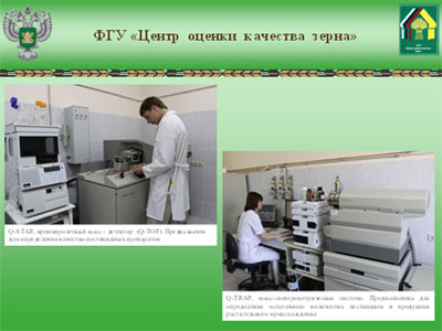 Доклад Директора  ФГУ «Центр оценки качества зерна», канд.экон.наук А.В.Хатунцова