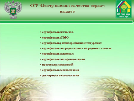 Доклад Директора  ФГУ «Центр оценки качества зерна», канд.экон.наук А.В.Хатунцова
