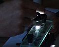 Проверка охотничьих хозяйств