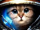 [Avatar]